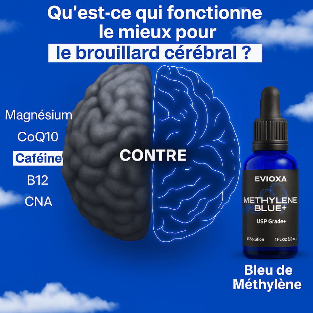 EVIOXA™ – L’Énergie Bleue, Pure et Intelligente