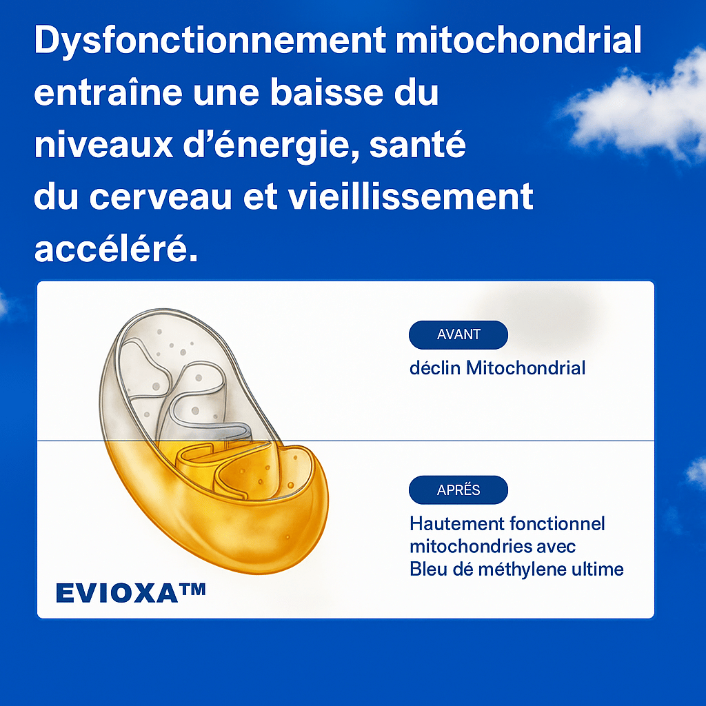 EVIOXA™ – L’Énergie Bleue, Pure et Intelligente